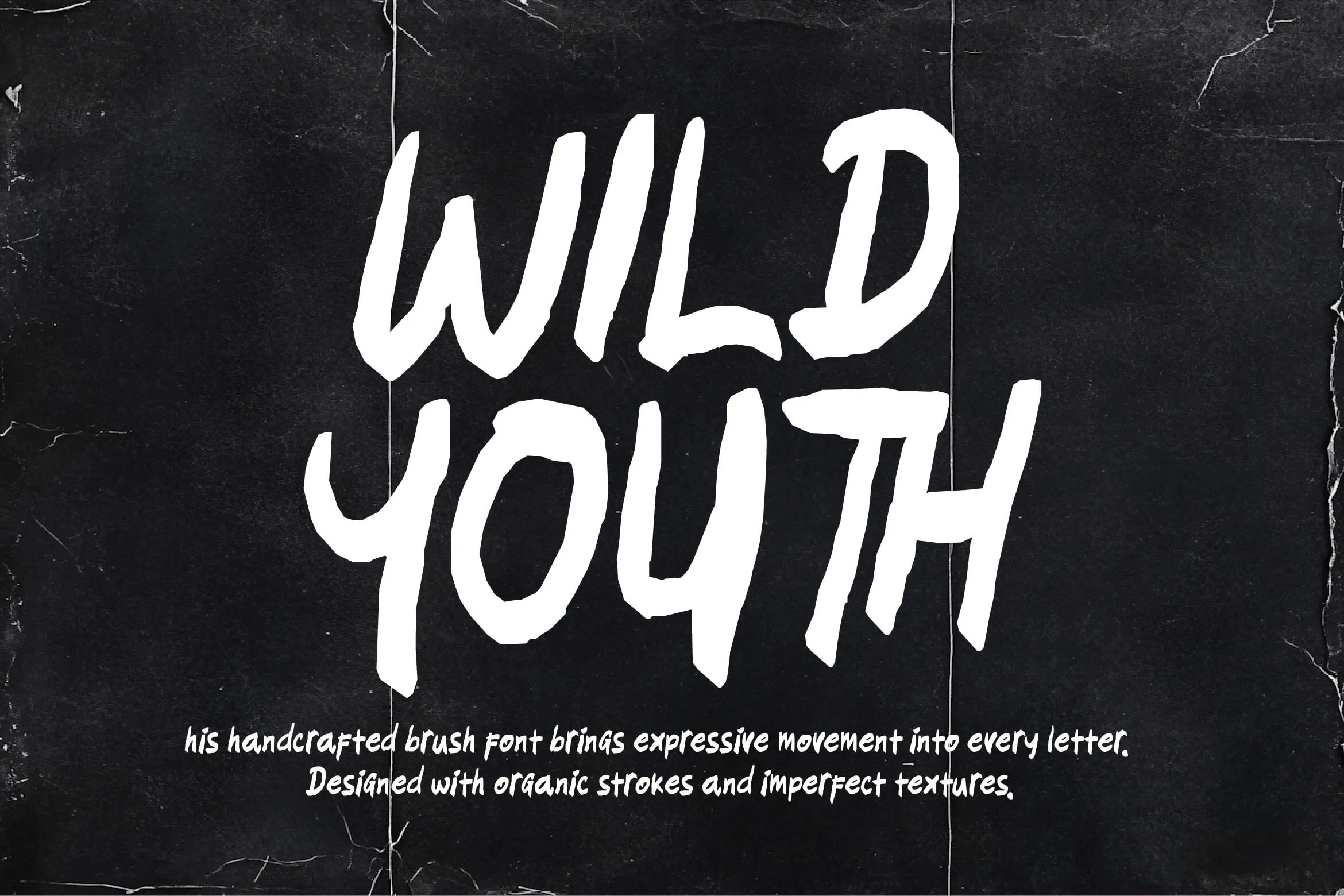 Wild Youth cover